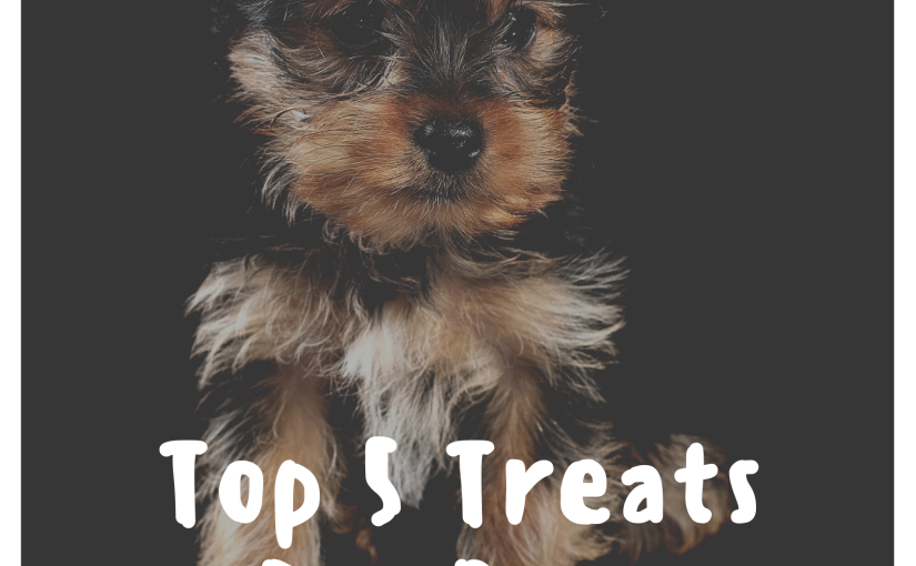 Top 5 Treats For Your Dog